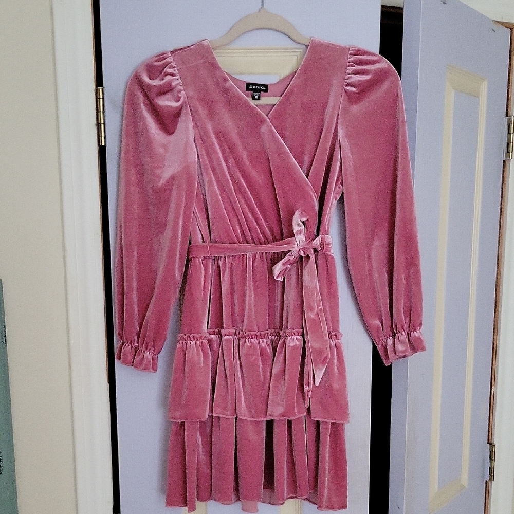 Zunie Blush Velvet Dress
